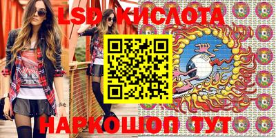 индика Кандалакша