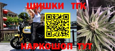 индика Кандалакша