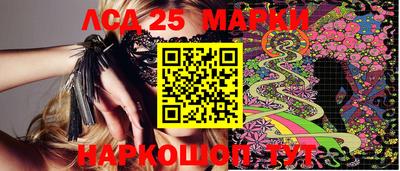 индика Кандалакша