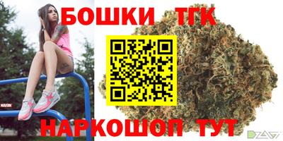 индика Кандалакша