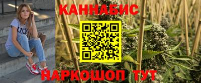 индика Кандалакша